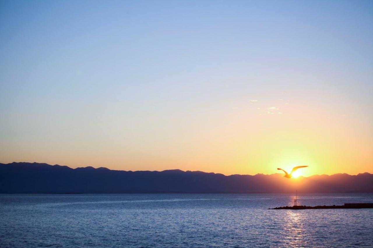 Apartments Villa Adrienne Mali Lošinj Kültér fotó